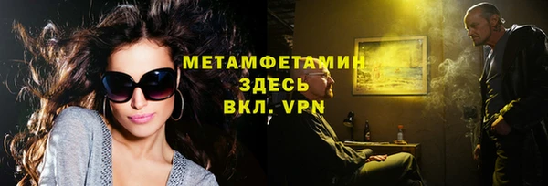 ПСИЛОЦИБИНОВЫЕ ГРИБЫ Абаза