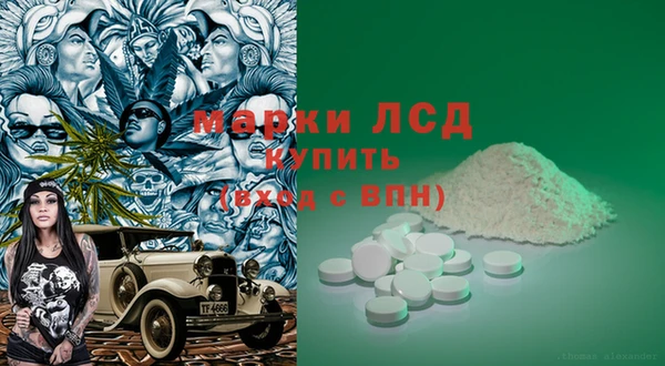 ПСИЛОЦИБИНОВЫЕ ГРИБЫ Абаза
