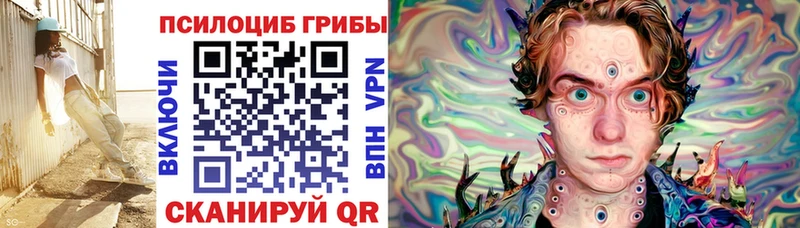 где найти   Владикавказ  kraken tor  Псилоцибиновые грибы Magic Shrooms 