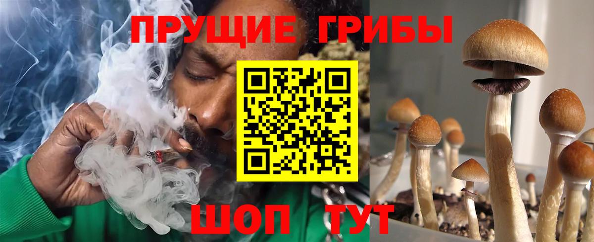 Владикавказ  Псилоцибиновые грибы Psilocybe  Галлюциногенные грибы ЛСД  Вход с VPN 